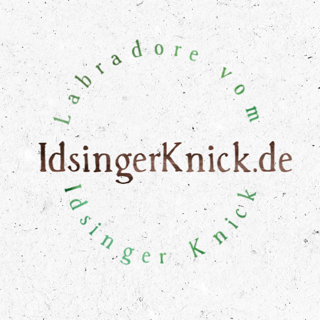 Rundes Logo Labradore vom Idsinger Knick